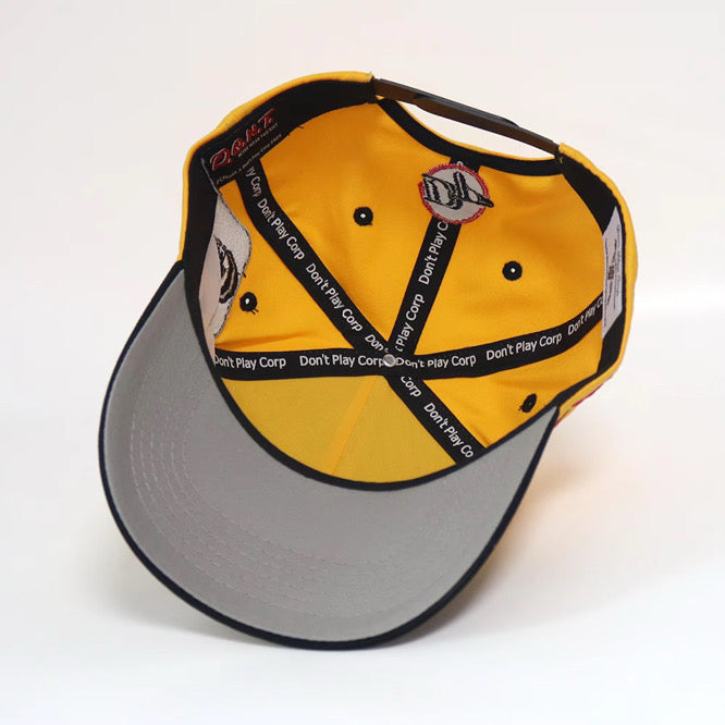 DPC CRACKED Baseball hat